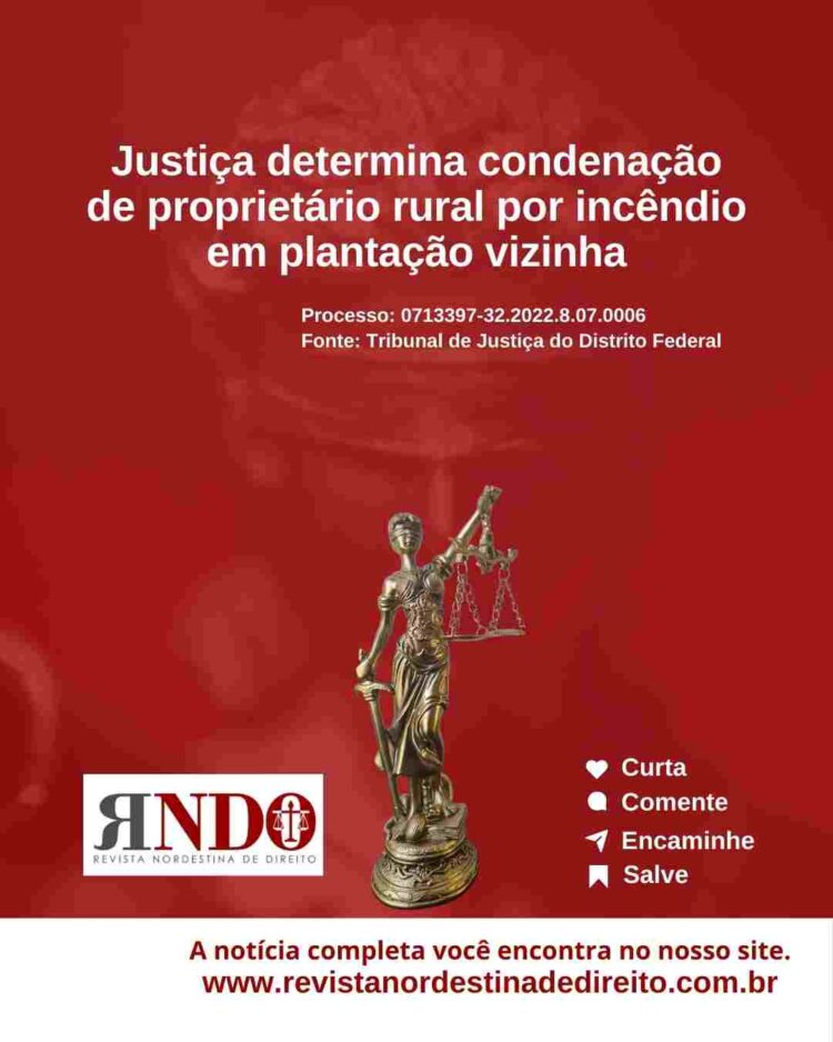  Justiça determina condenação de proprietário rural por incêndio em plantação vizinha