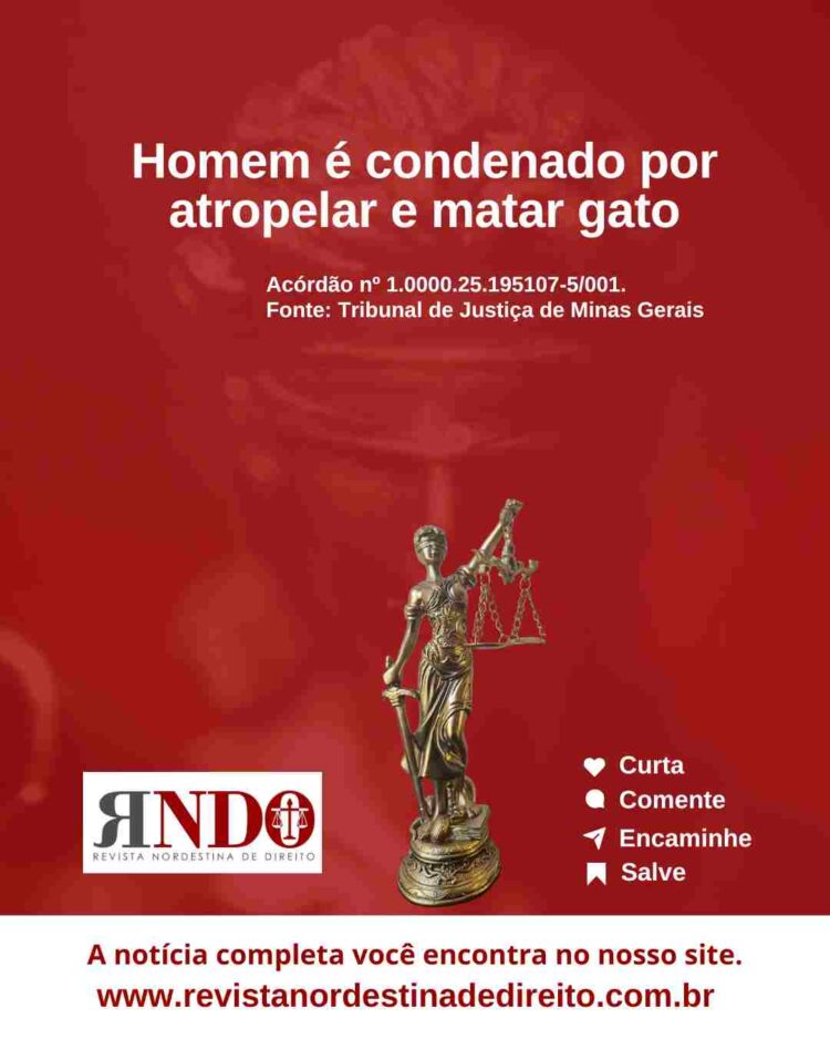 Homem é condenado por atropelar e matar gato