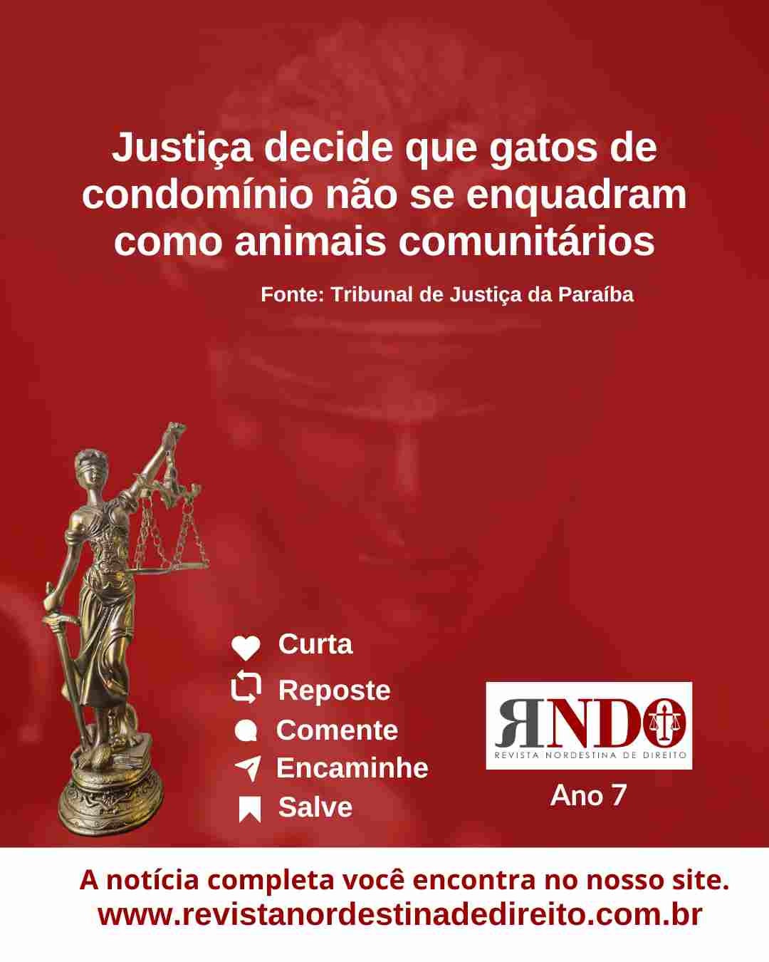 TJ decide que gatos de condomínio não se enquadram como animais comunitários