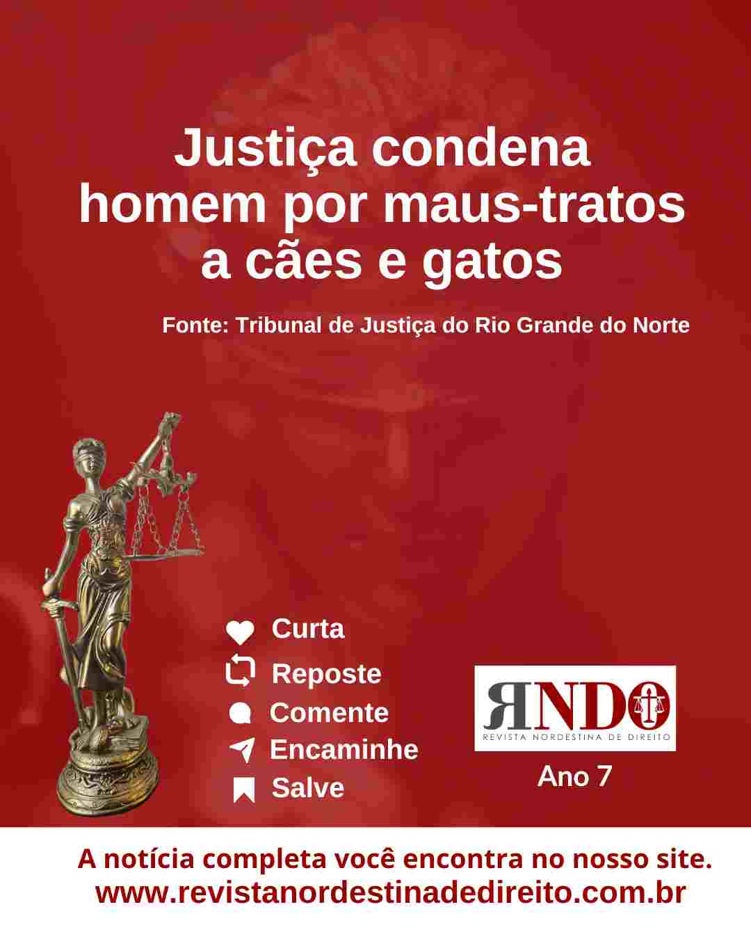 Justiça condena homem por maus-tratos a cães e gatos
